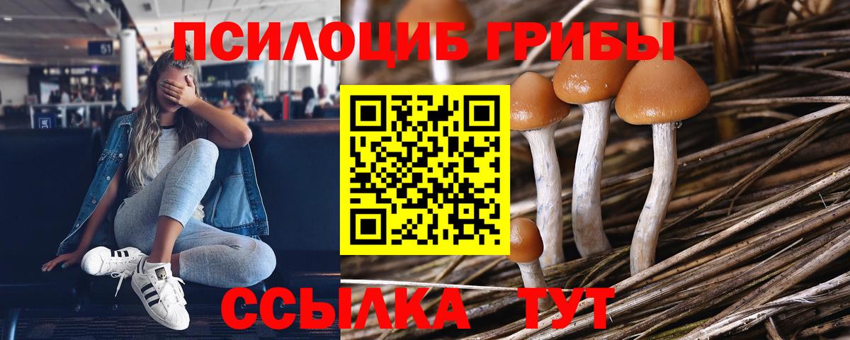 Галлюциногенные грибы прущие грибы  Галлюциногенные грибы GOLDEN TEACHER  Вход с VPN  Кингисепп 